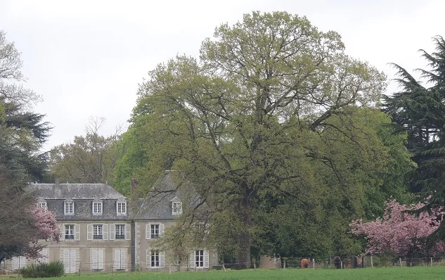Château de Bouthonvilliers