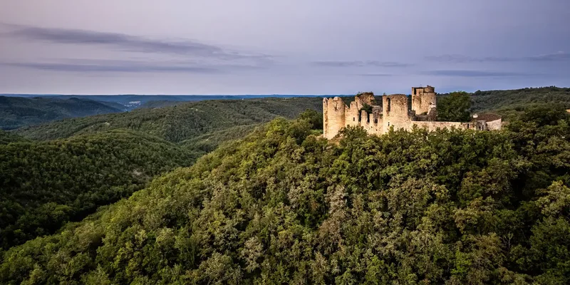 Château de Roussillon