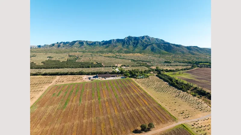 Domaine Jòlibois