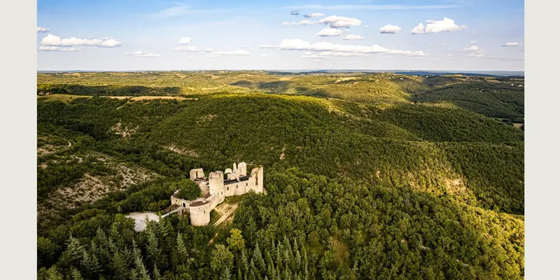Château de Roussillon