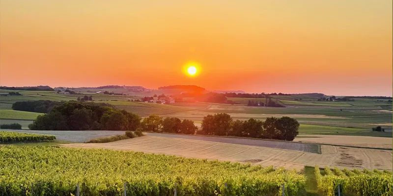 Le Paradis des Vignes