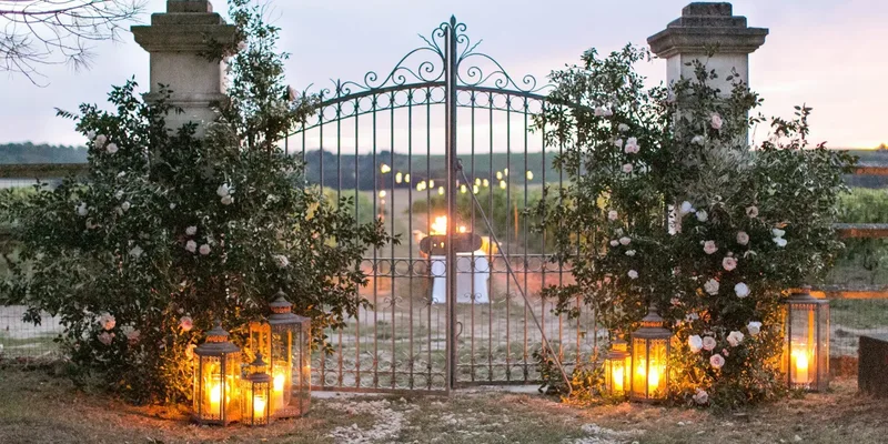 Le Paradis des Vignes