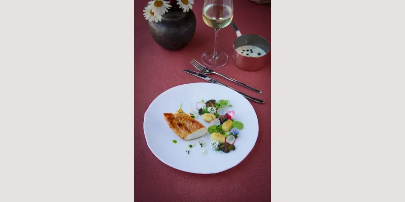 Domaine Le Mezo
