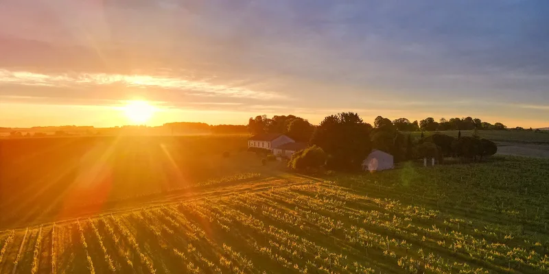 Le Paradis des Vignes