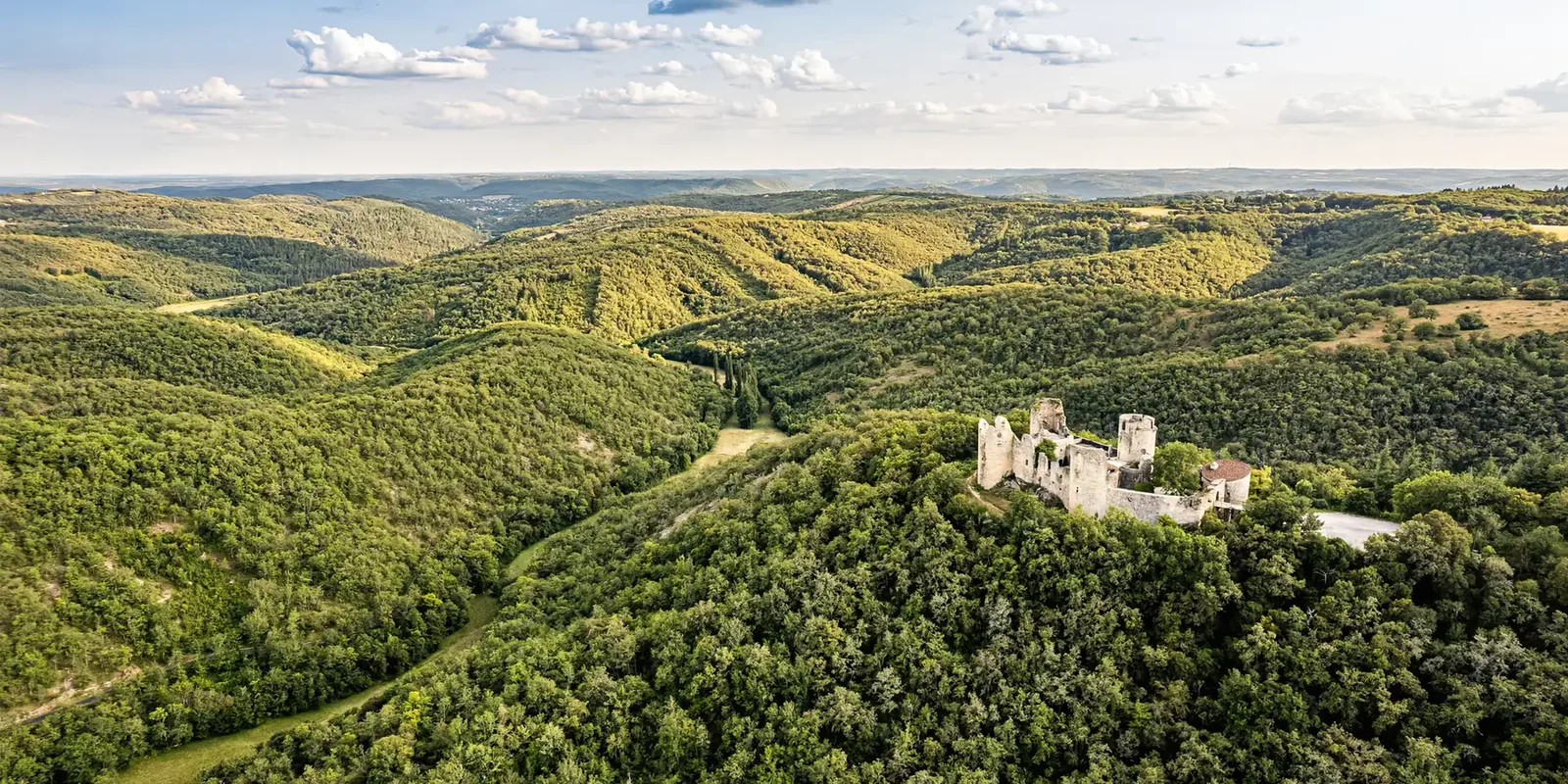 Château de Roussillon