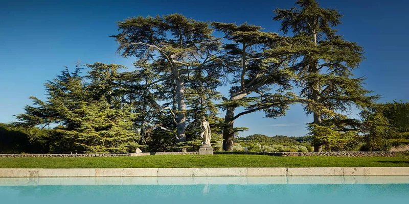 Château des Lavandes
