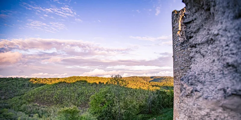 Château de Roussillon