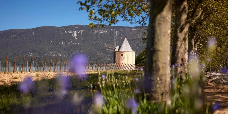 Château des Lavandes