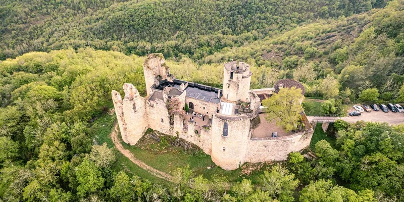 Château de Roussillon