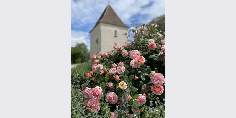 Château de St Paul