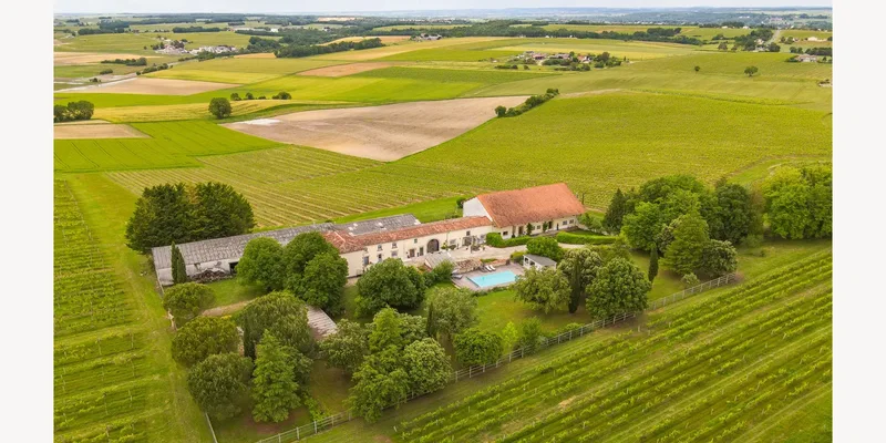 Le Paradis des Vignes