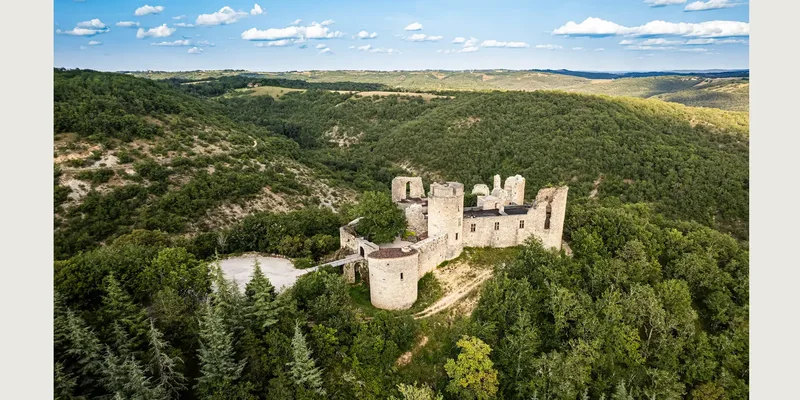 Château de Roussillon
