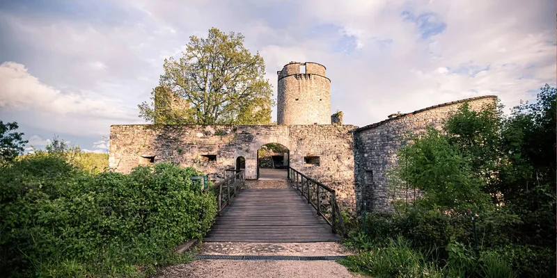 Château de Roussillon