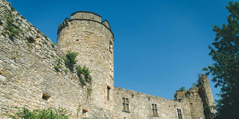 Château de Roussillon